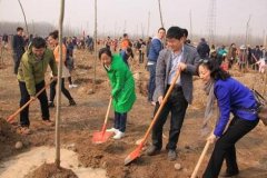 兰州永泓源清洁有限公司公益植树活动现场